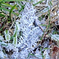 DSC_9104.jpg