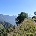 DSC_9322.jpg