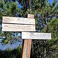 DSC_9513.jpg