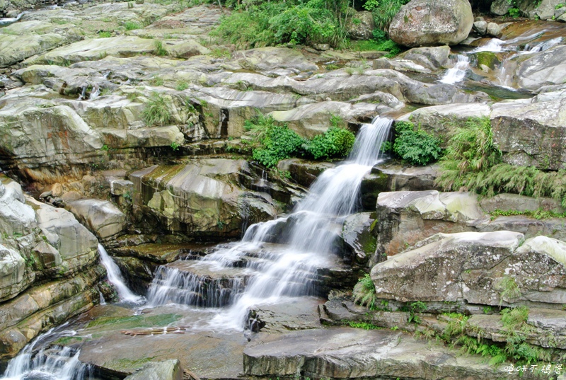 DSC_6722.jpg DSC_6722.jpg