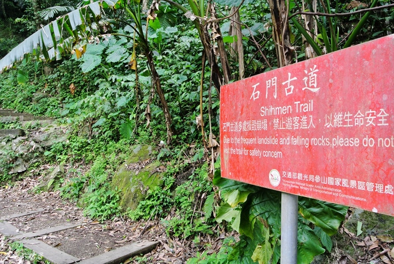 DSC_6732.jpg DSC_6732.jpg