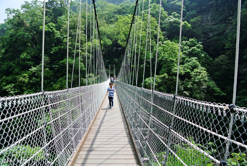 DSC_6911.jpg DSC_6911.jpg