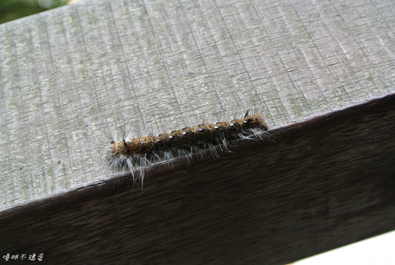 DSC_6963.jpg DSC_6963.jpg