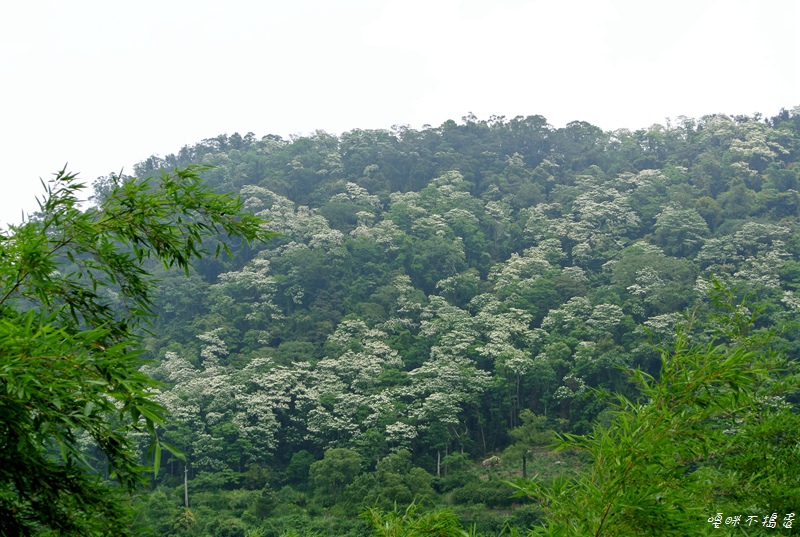 DSC_7038.jpg DSC_7038.jpg