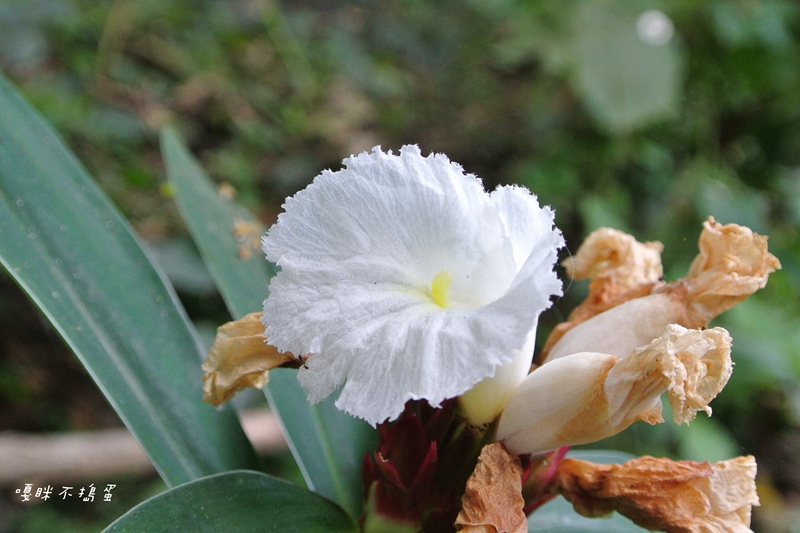 DSC_4807.jpg DSC_4807.jpg