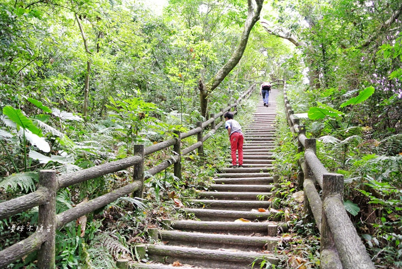 DSC_4821.jpg DSC_4821.jpg