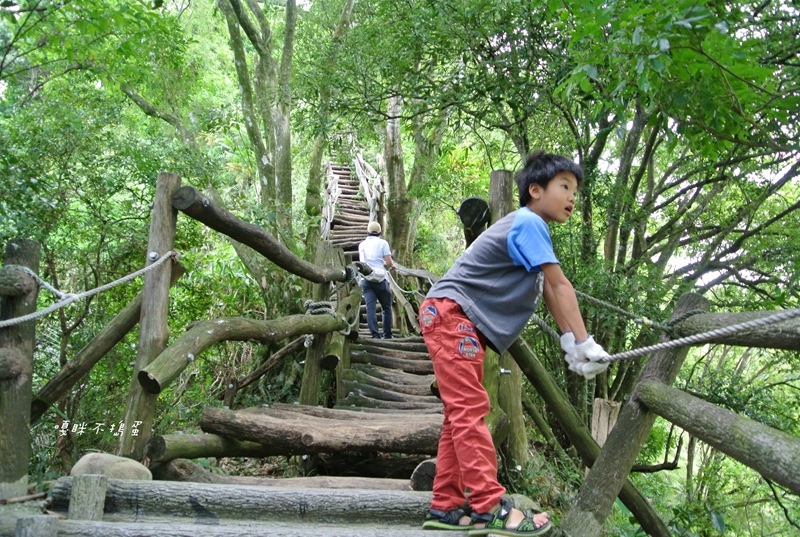 DSC_4831.jpg DSC_4831.jpg