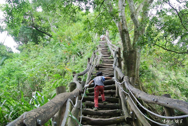 DSC_4836.jpg DSC_4836.jpg