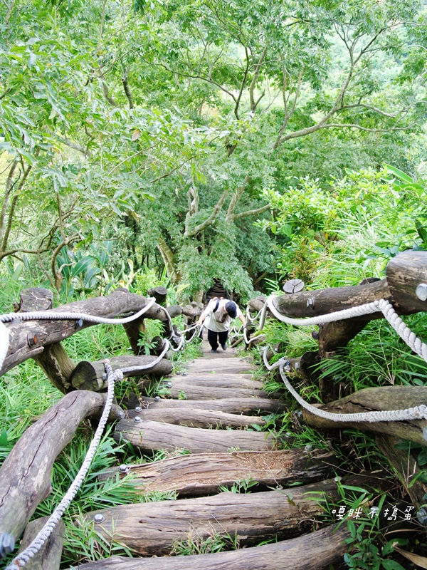 DSC_4848.jpg DSC_4848.jpg