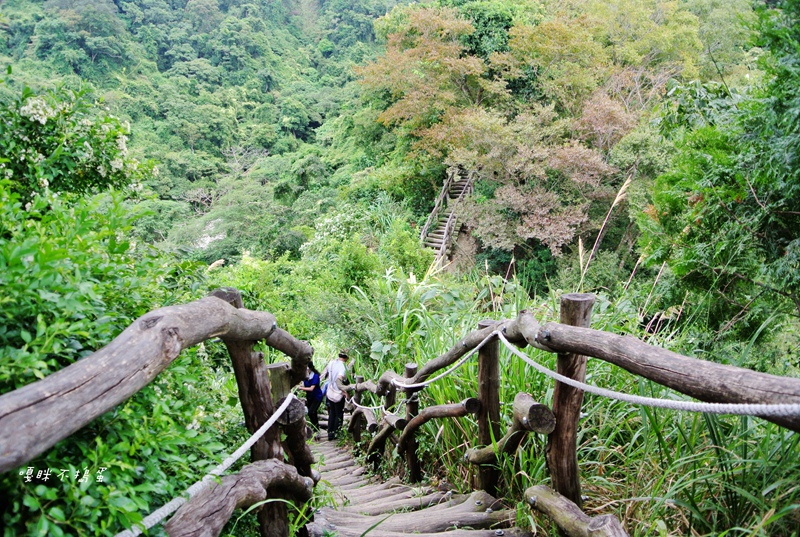 DSC_4863.jpg DSC_4863.jpg