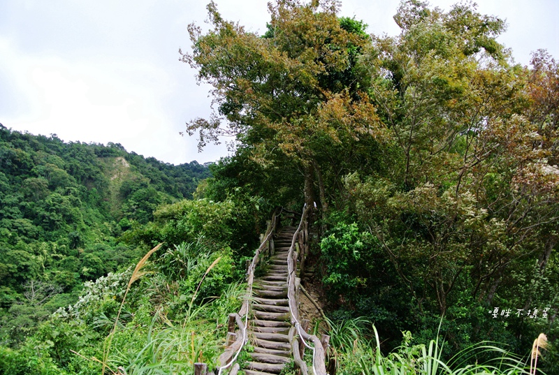 DSC_4864.jpg DSC_4864.jpg