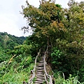DSC_4864.jpg