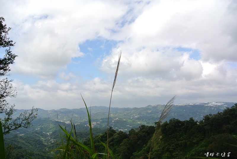 DSC_4883.jpg DSC_4883.jpg