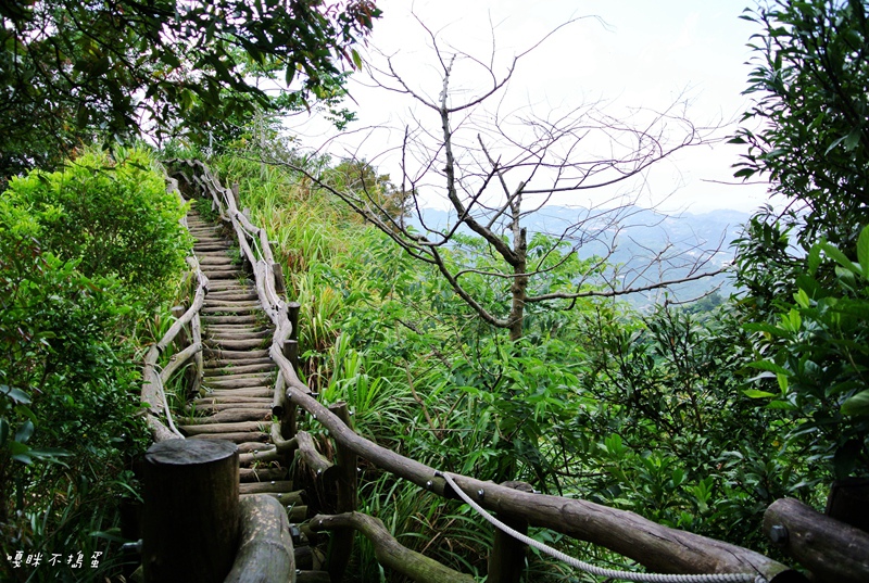 DSC_4896.jpg DSC_4896.jpg