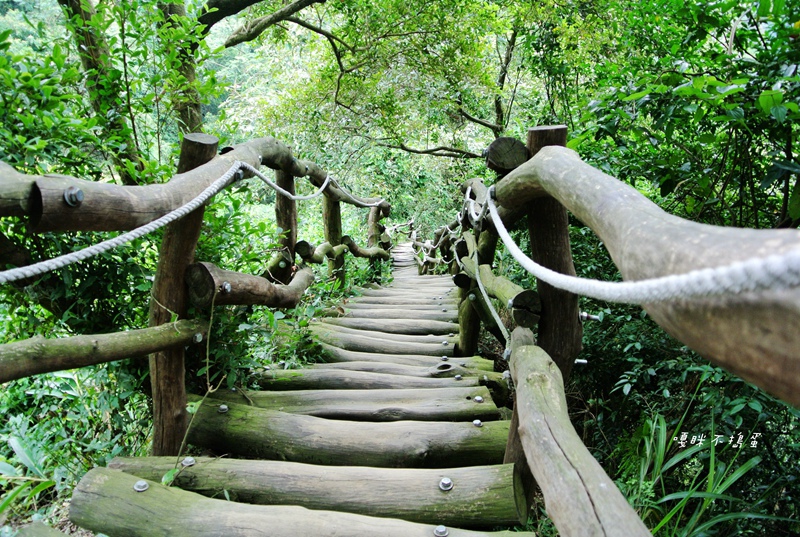 DSC_4911.jpg DSC_4911.jpg