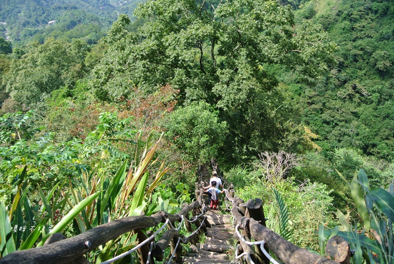 DSC_4958.jpg DSC_4958.jpg