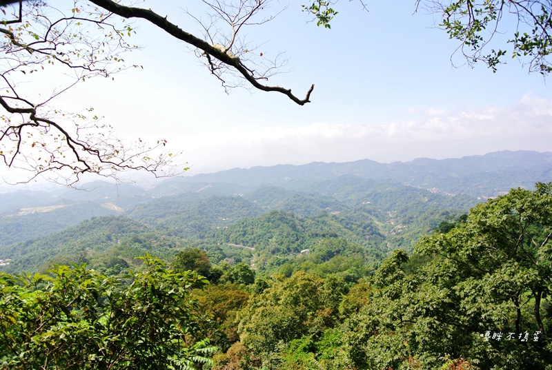 DSC_4960.jpg DSC_4960.jpg