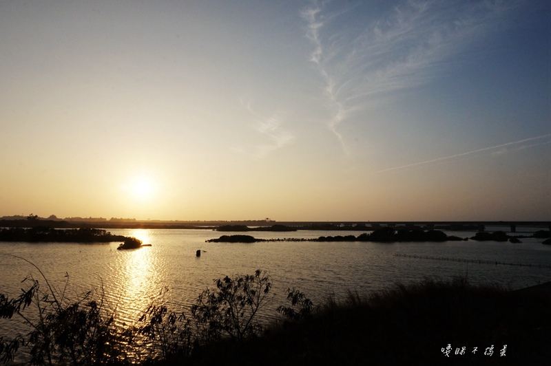 DSC08466.jpg