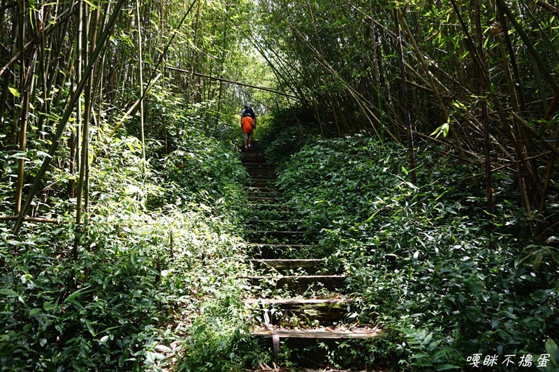 DSC06738.jpg DSC06738.jpg