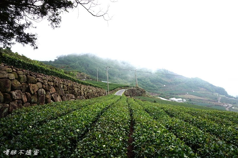 DSC06760.jpg DSC06760.jpg