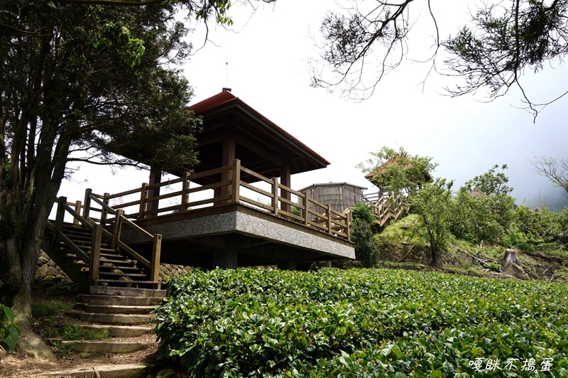 DSC06766.jpg DSC06766.jpg