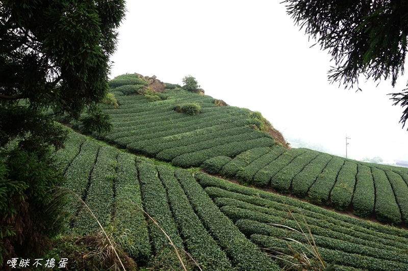 DSC06782.jpg DSC06782.jpg