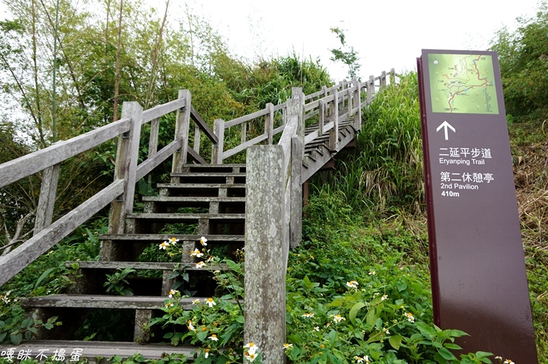 DSC06806.jpg DSC06806.jpg