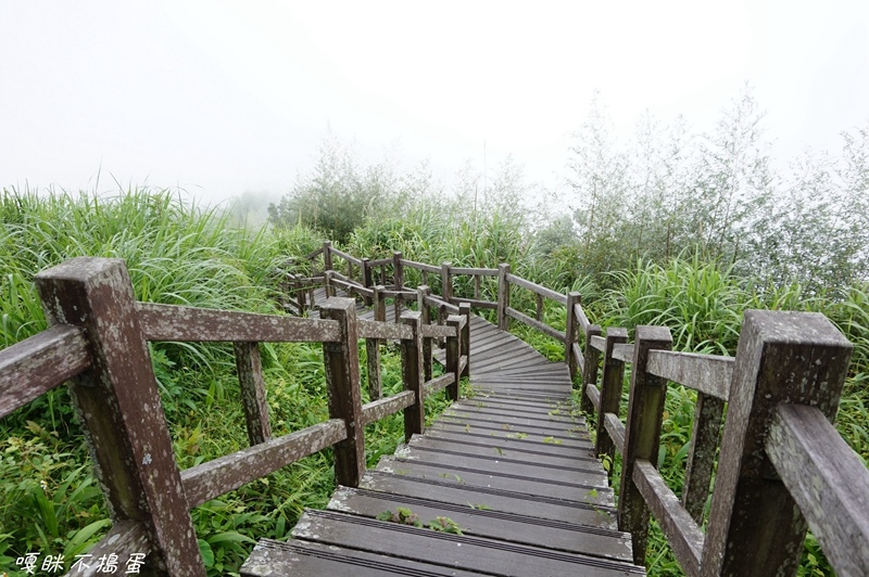 DSC06822.jpg DSC06822.jpg