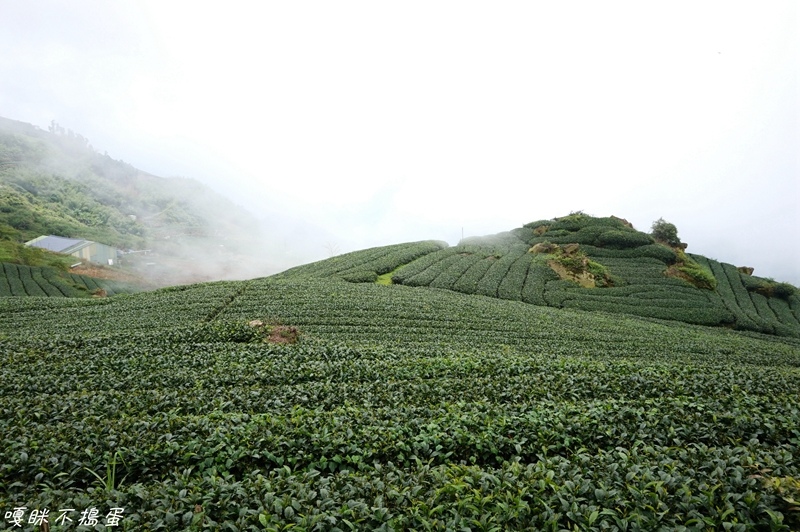 DSC06862.jpg DSC06862.jpg