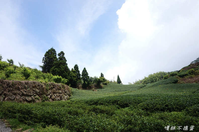 DSC06879.jpg DSC06879.jpg