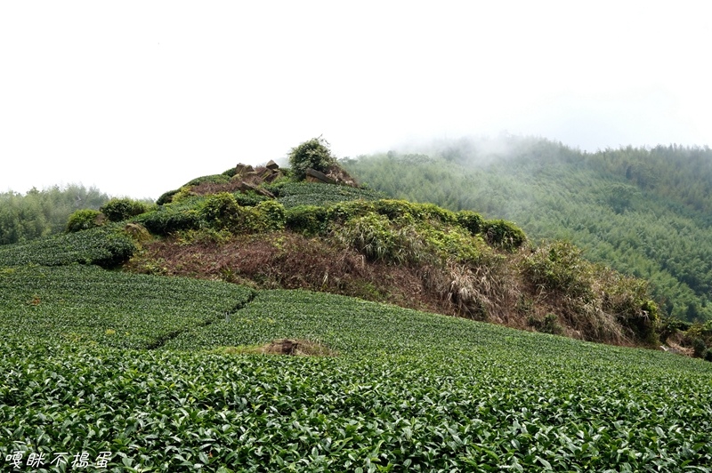 DSC06890.jpg DSC06890.jpg