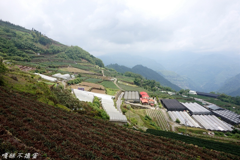 DSC06892.jpg DSC06892.jpg