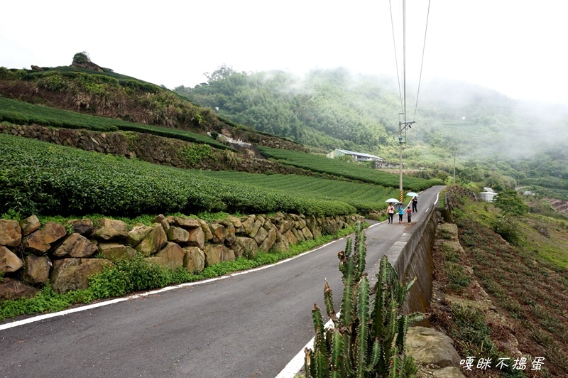 DSC06894.jpg DSC06894.jpg