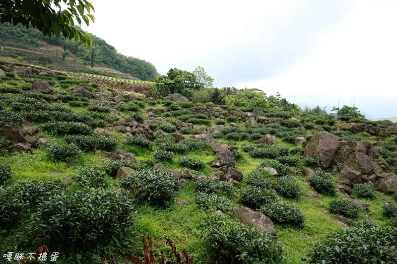 DSC06924.jpg DSC06924.jpg