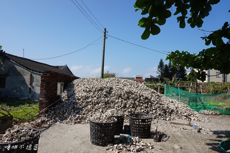 DSC07946.jpg DSC07946.jpg