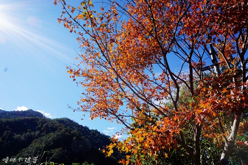 DSC08442.jpg DSC08442.jpg