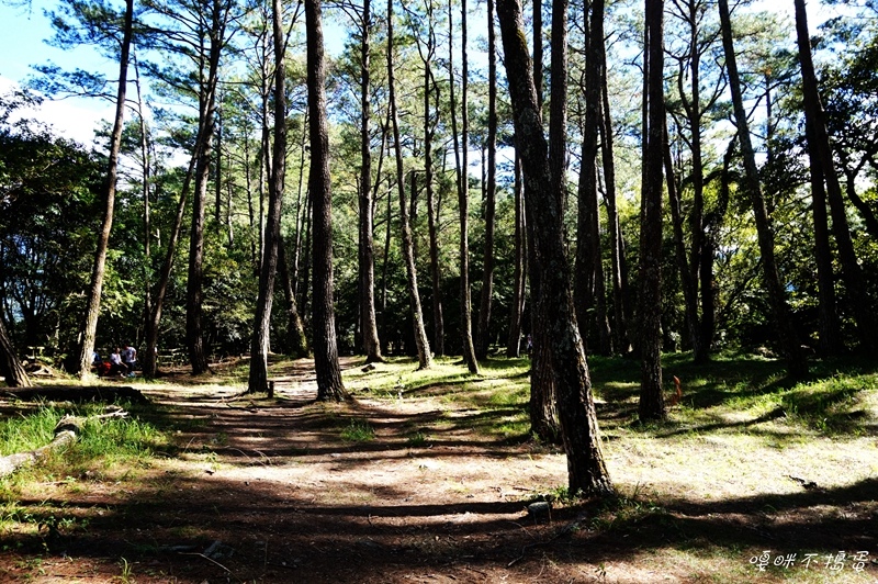 DSC08575.jpg DSC08575.jpg