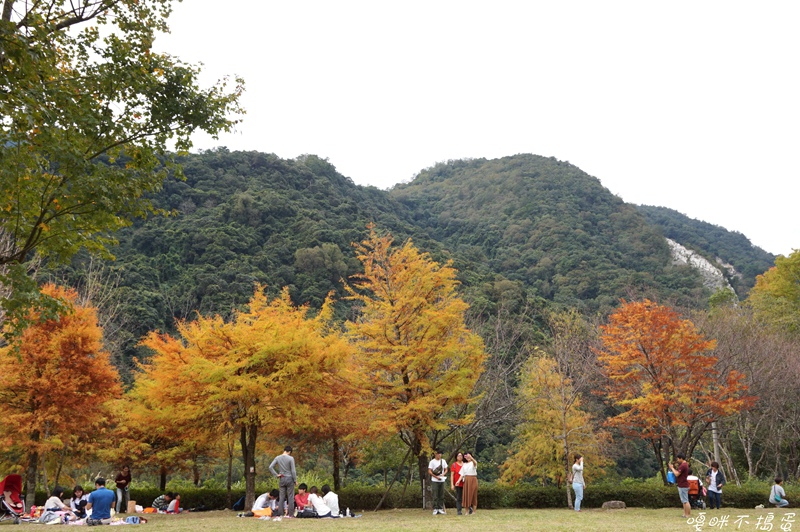 DSC08768.jpg DSC08768.jpg