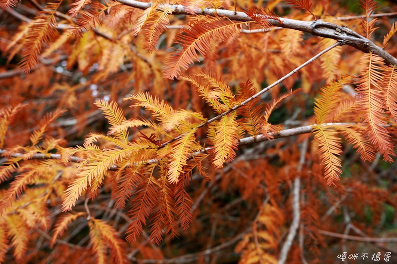 DSC08779.jpg DSC08779.jpg