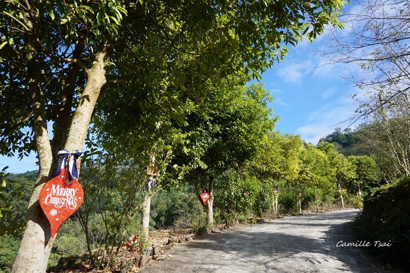 DSC09147.jpg DSC09147.jpg