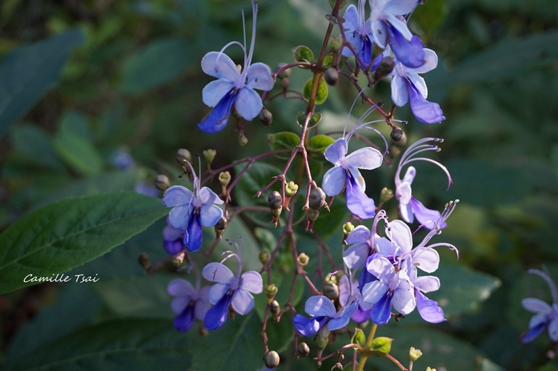 DSC09149.jpg DSC09149.jpg