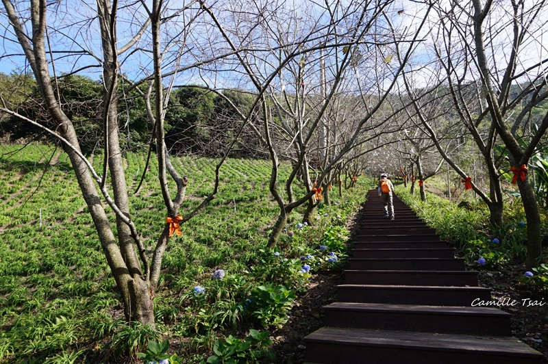 DSC09172.jpg DSC09172.jpg