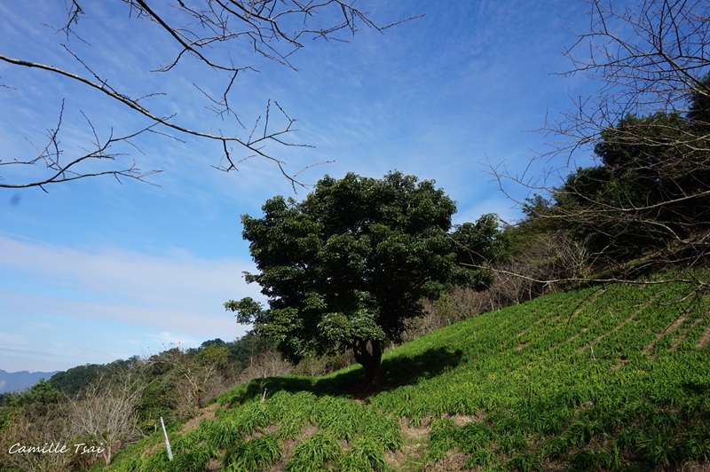 DSC09174.jpg DSC09174.jpg