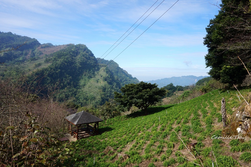 DSC09179.jpg DSC09179.jpg