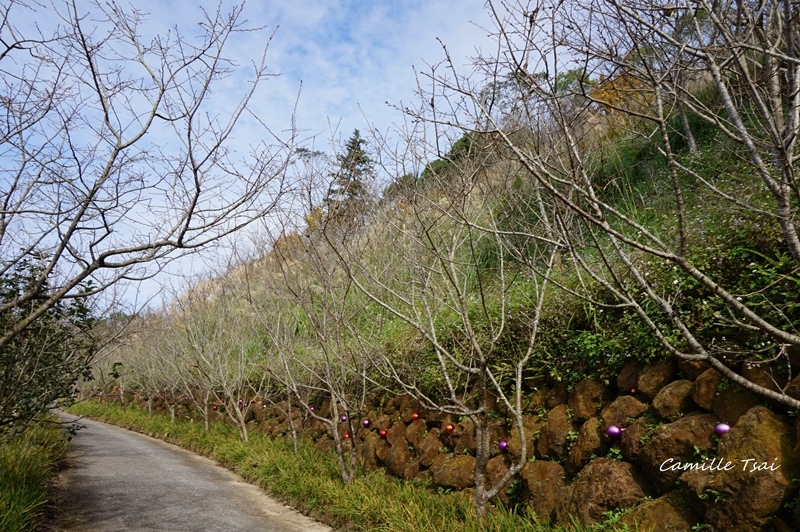 DSC09206.jpg DSC09206.jpg