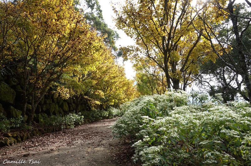 DSC09213.jpg DSC09213.jpg