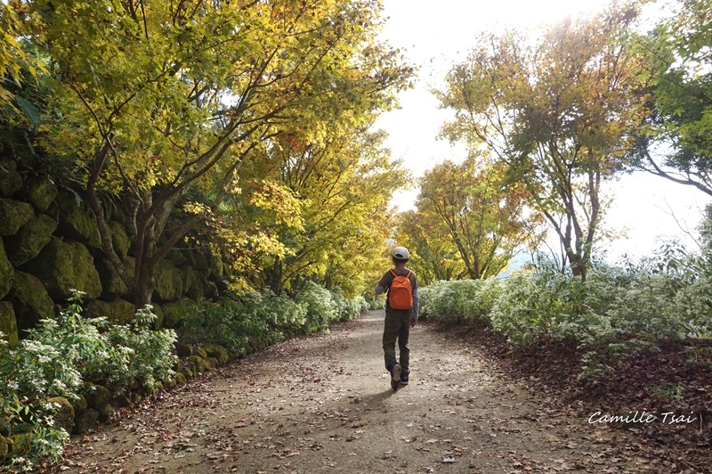 DSC09220.jpg DSC09220.jpg