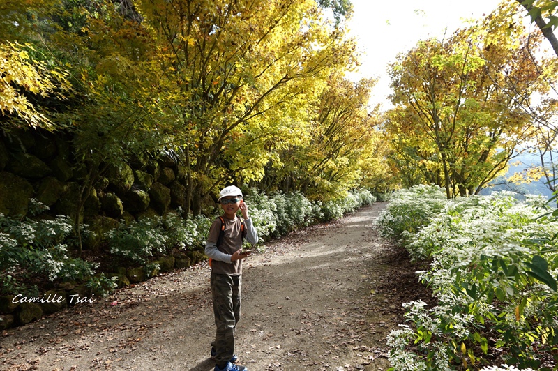 DSC09230.jpg DSC09230.jpg