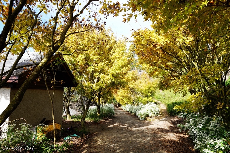 DSC09262.jpg DSC09262.jpg