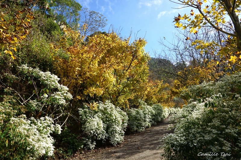 DSC09266.jpg DSC09266.jpg